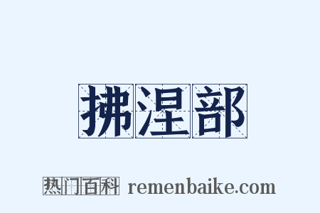 拂涅部是什么意思的图片